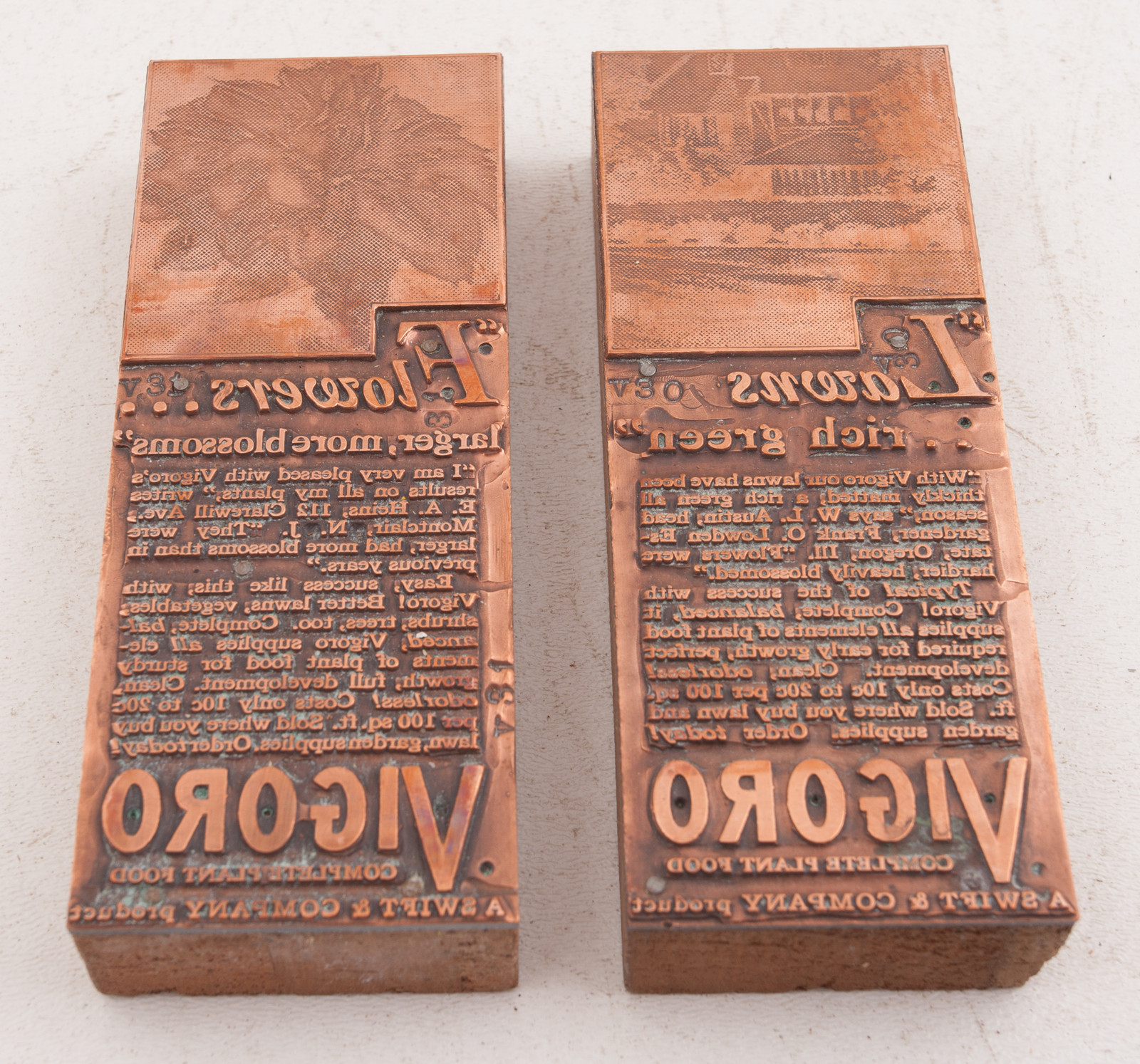 Vigoro Lawns & Flowers Gardening Ads Printers Block Advertising (A5L-26 JSF6)