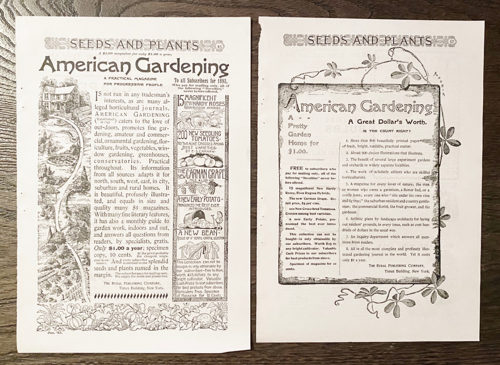 AMERICAN GARDENING Rural Publishing Co Magazine Subscription Offer1893 Print Ads