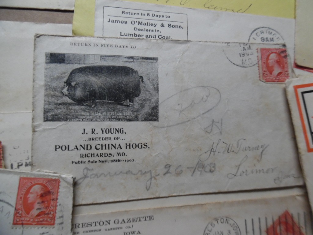 1902-1903 H W Turney Poland China Hog Breeder Archive Letters More Lorimor Iowa
