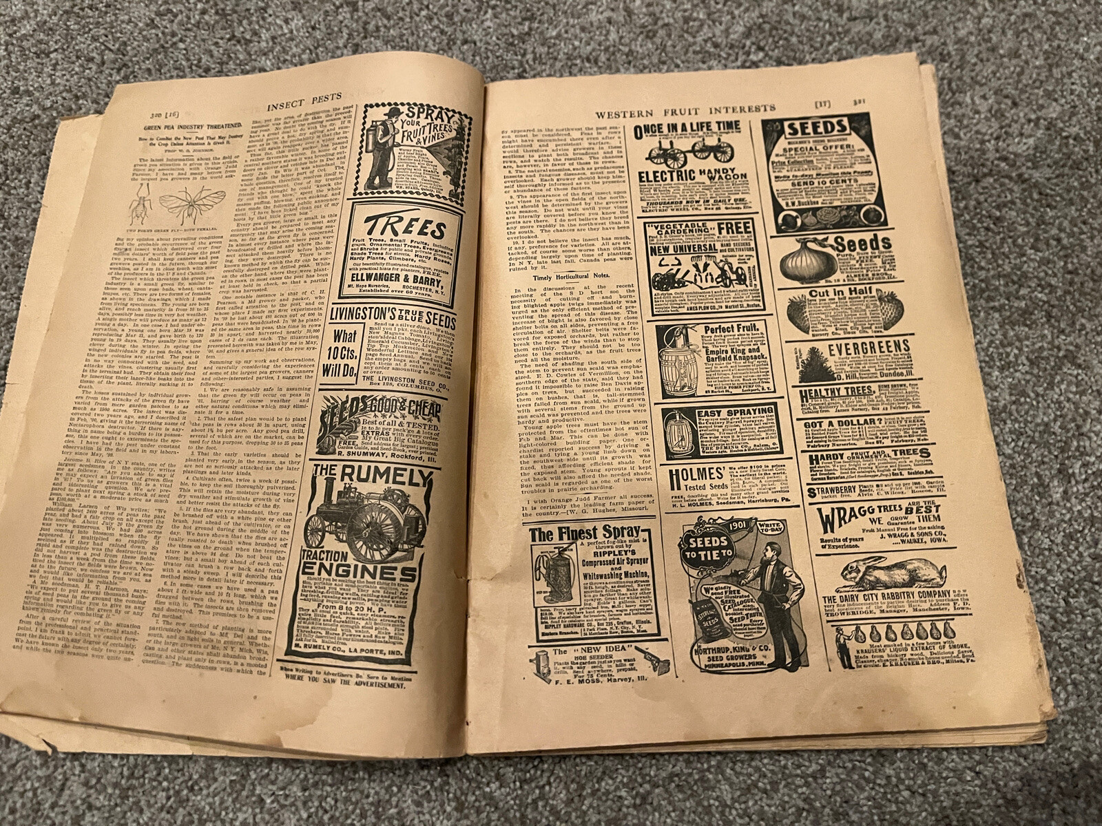March 1901 THE ORANGE JUDD FARMER Magazine Farm Advertising Horticulture