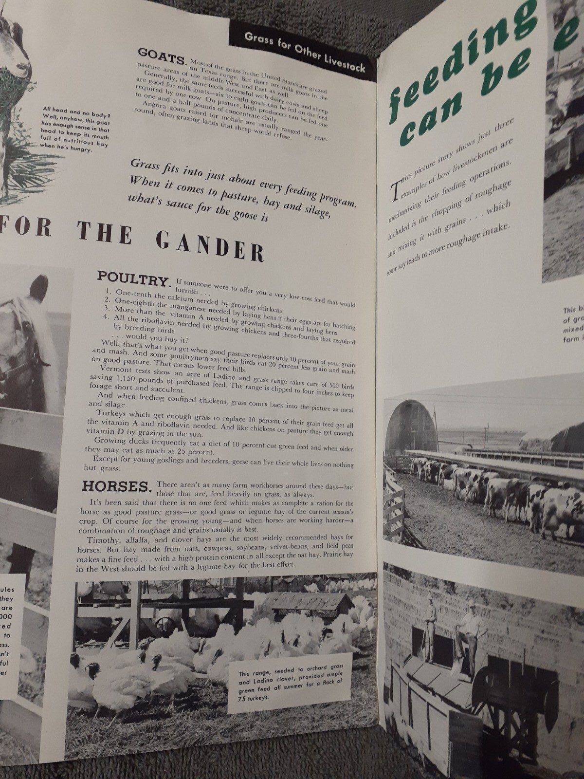 New Holland Handbooks – Indoor Pasture and Feeding Grass Dated 1952