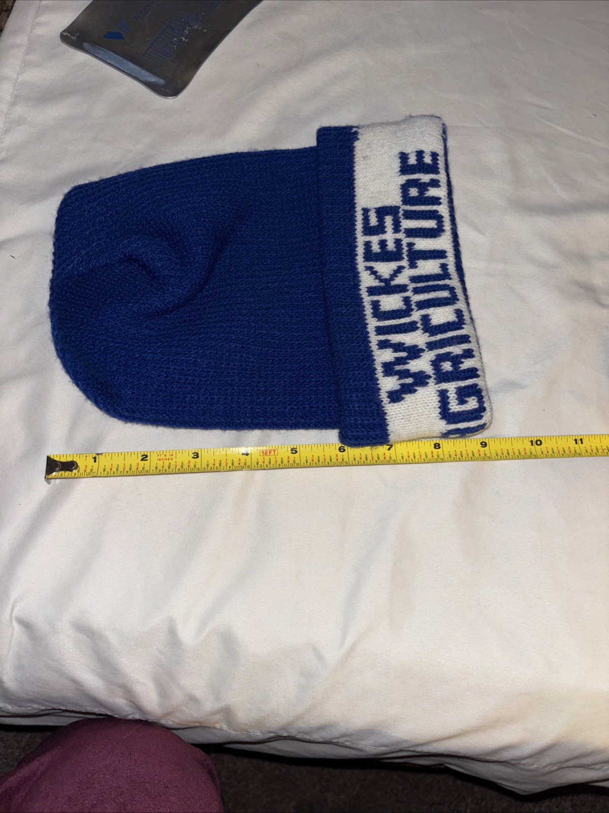 Vtg WICKES AGRICULTURE Advertising Blue/White Knit Stocking Cap & 5×4” Ash Tray