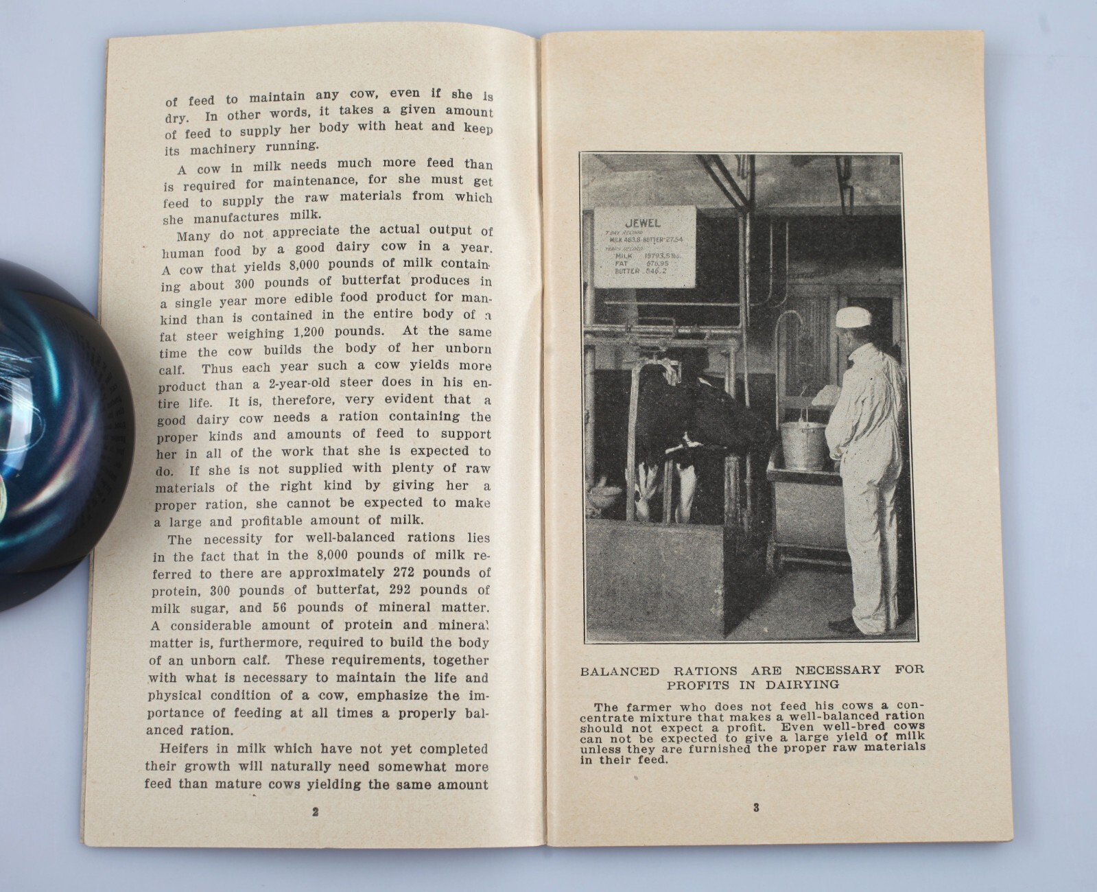 1923 Feeding Dairy Cows Booklet Wisconsin College of Agriculture Extension