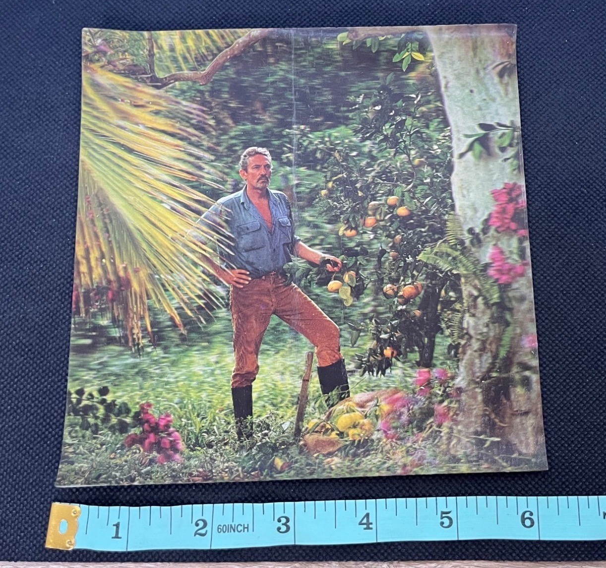 Vintage Xograph 3D Lenticular Picture Tropical Garden Orange Grove USA 1960s