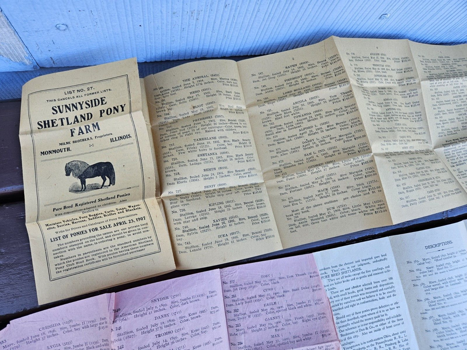 Sunny Side Shetland Pony Farm Catalog & Brochures Monmouth ILL. 1902 +