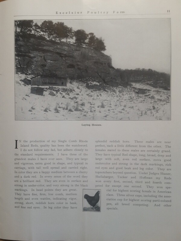 1911 Excelsior Poultry Farm T Carter Jonesdale WI Mineral Point Dodgeville Area