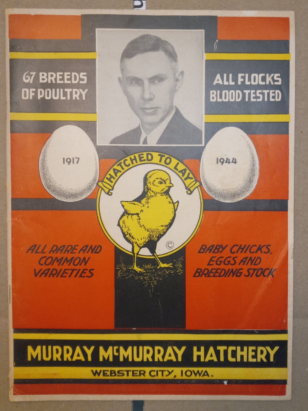 Vtg 1944 Murray McMurray Hatchery Webster City Ia Catalog Order Form Price List