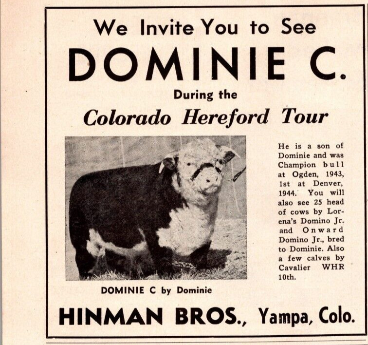 1948 Print Ad Hinman Bros Yampa CO Dominie C Bull Colorado Hereford Tour