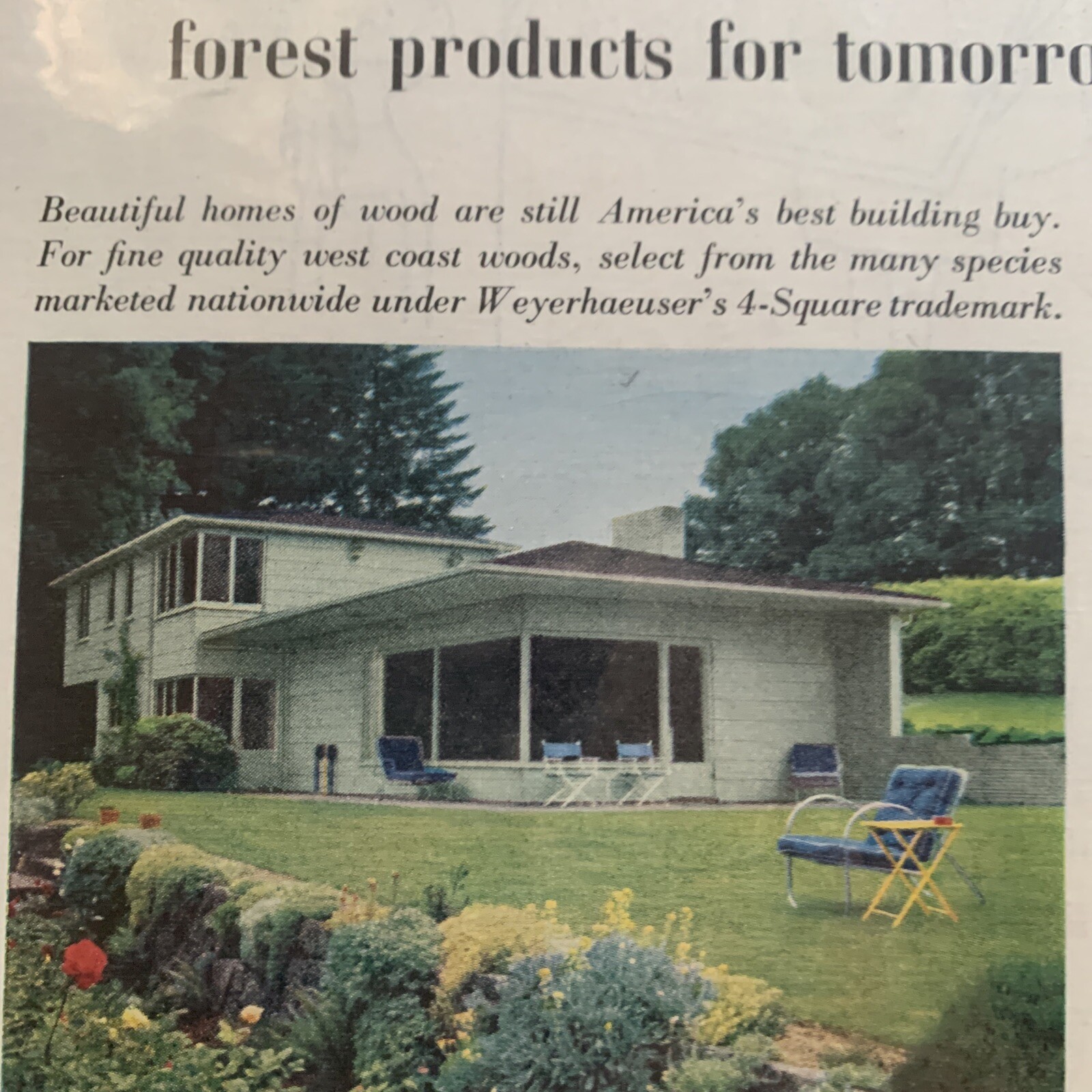 Weyerhaeuser Timber Company January 1958 Ad Homes Animals Land