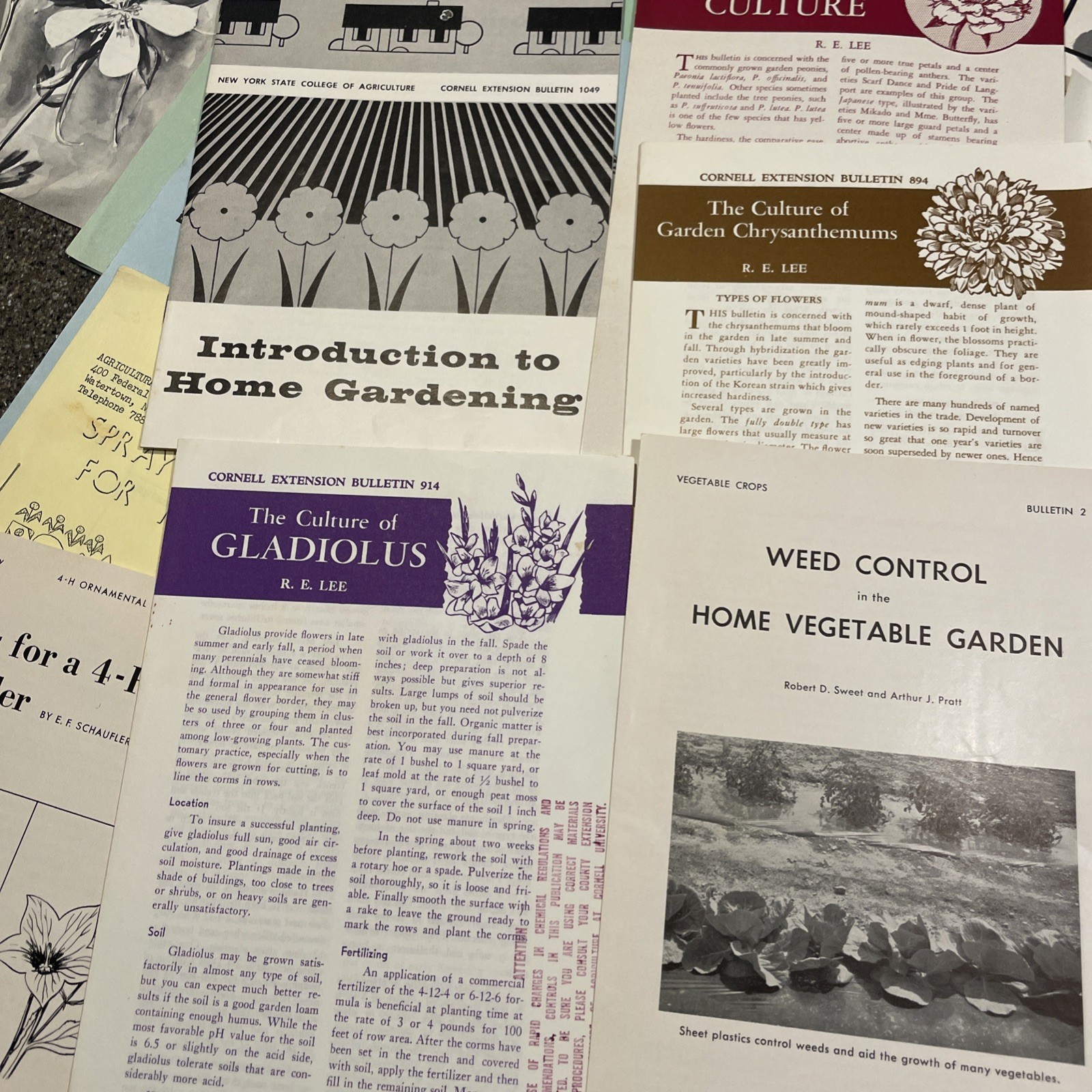Large Lot Vintage 4H And Cornell Cooperative Extension Gardening Brochures.