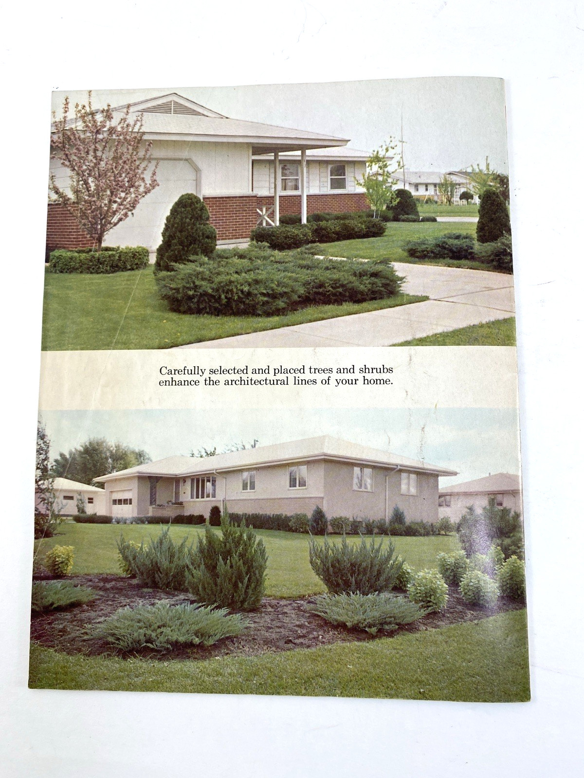 Vtg Dan Majeski Nurseries Landscape Gardening 1967 Catalog Western NY