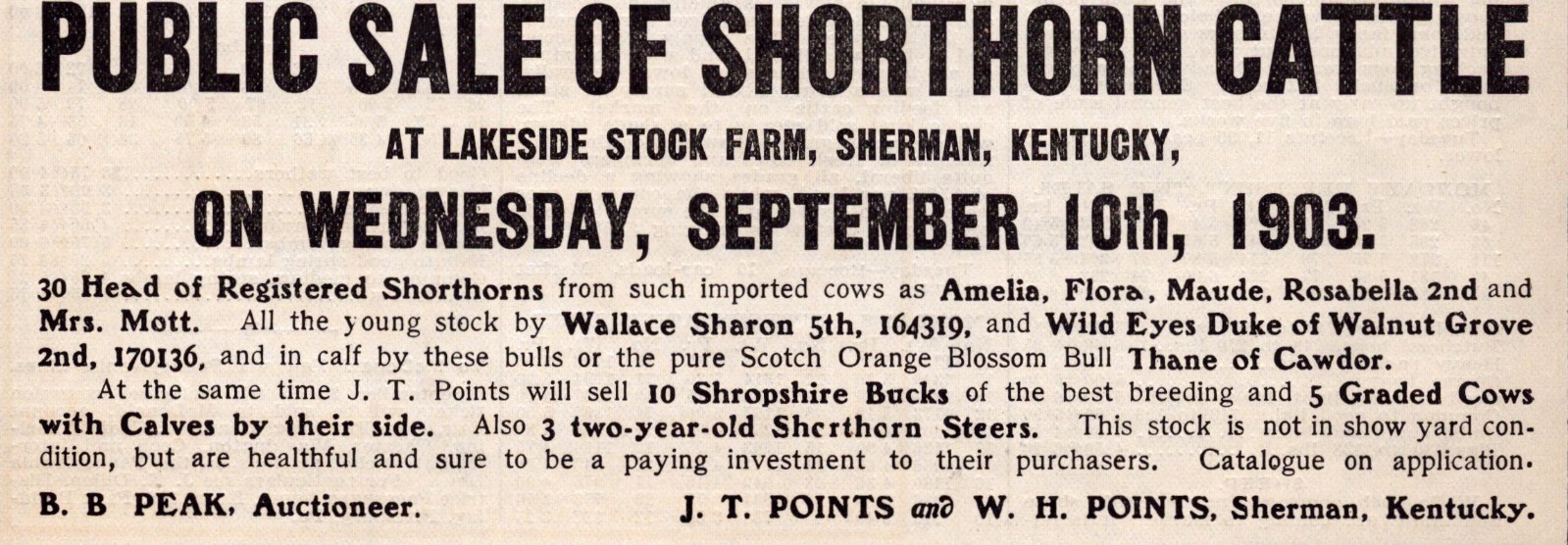 Public Sale Sherman KY 1903 Vintage Print Ad Shorthorn Cattle Lakeside Farm Peak