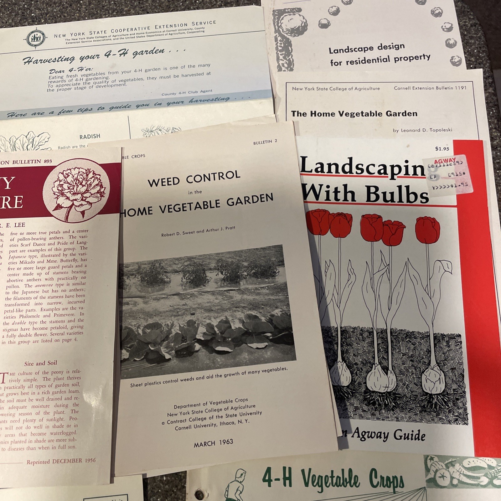 Large Lot Vintage 4H And Cornell Cooperative Extension Gardening Brochures.