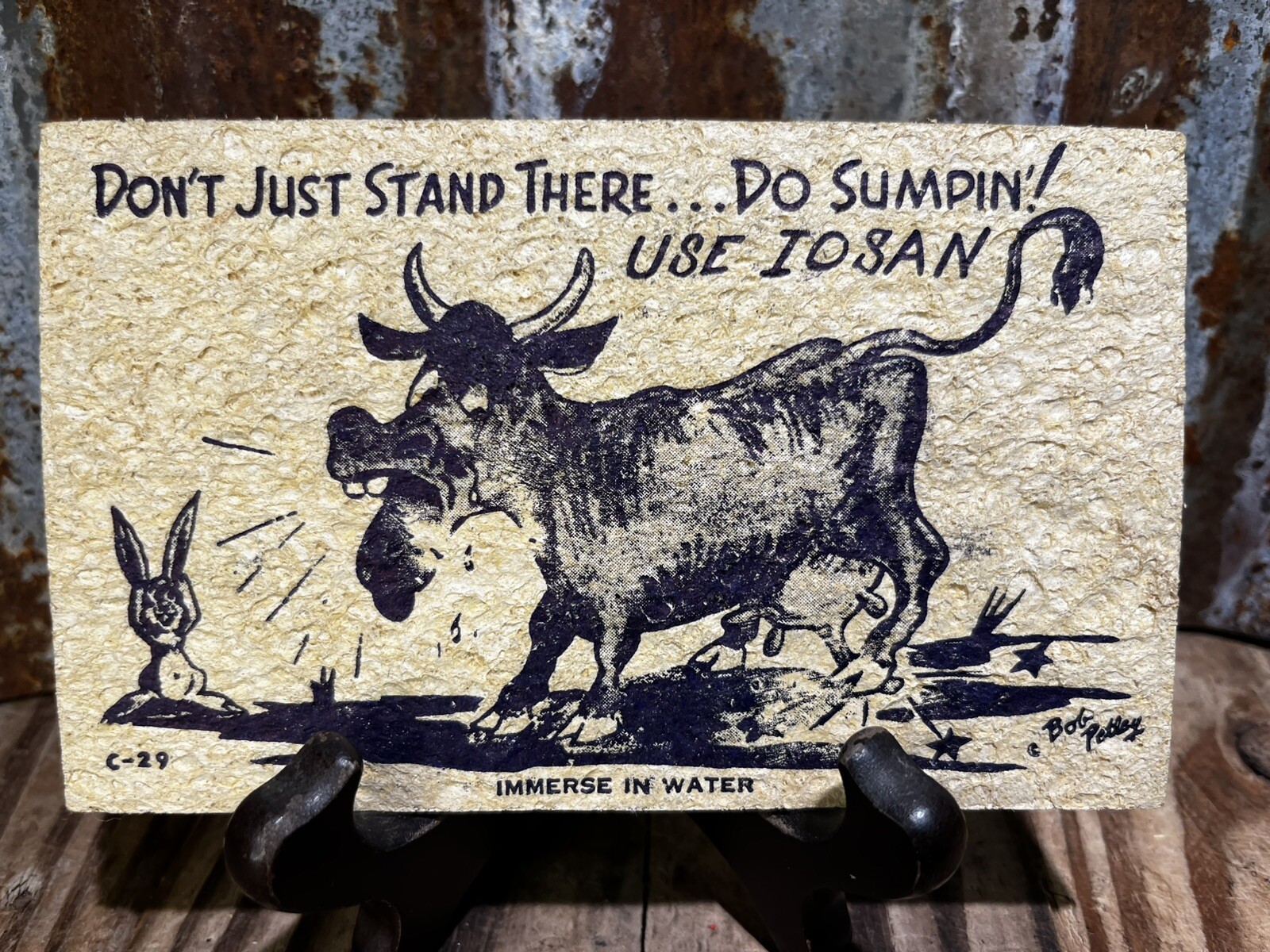 Don’t Just Stand There Do Sumpin! IOSAN Double Sided Dairy Advertising Sponge