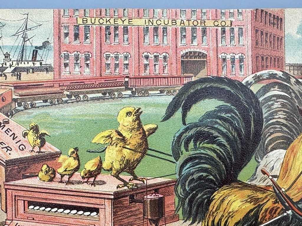 Rare 1893 BUCKEYE INCUBATOR CO Chicken CHICKS Farm Advertise BOOK Springfield OH