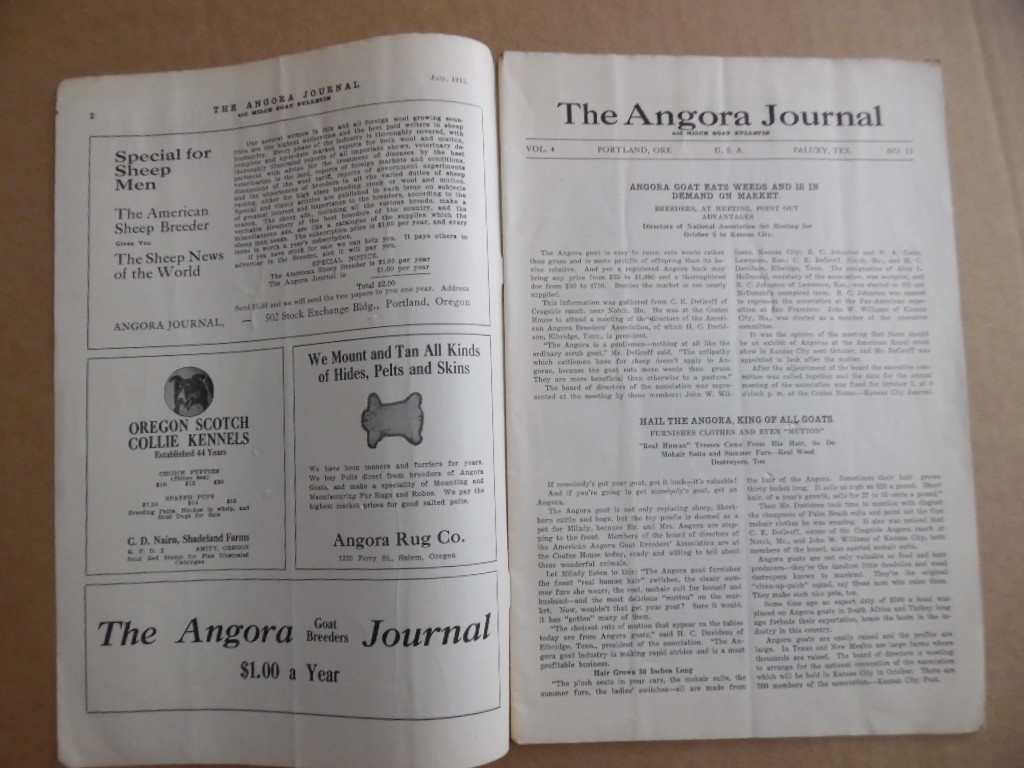 1915 Angora Goat Breeders Journal Mohair Milk Goats More Vintage Original RARE