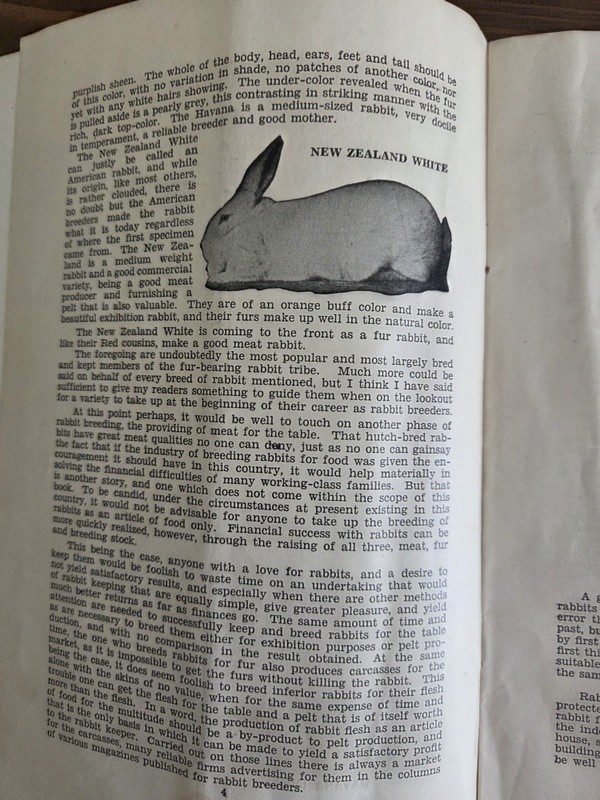 c1930 Rabbit Raising How to Begin Agriculture Advvertising Montgomery Ward & Co.