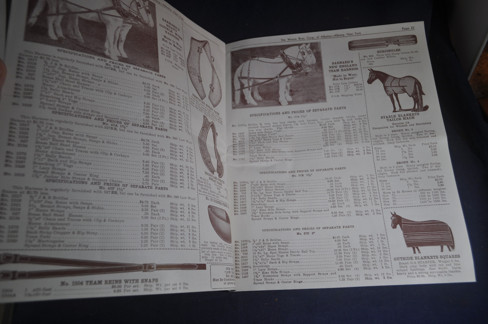 1938 Moore Brothers [Albany NY] Catalog, Dairy, Poultry & Veterinary Supplies
