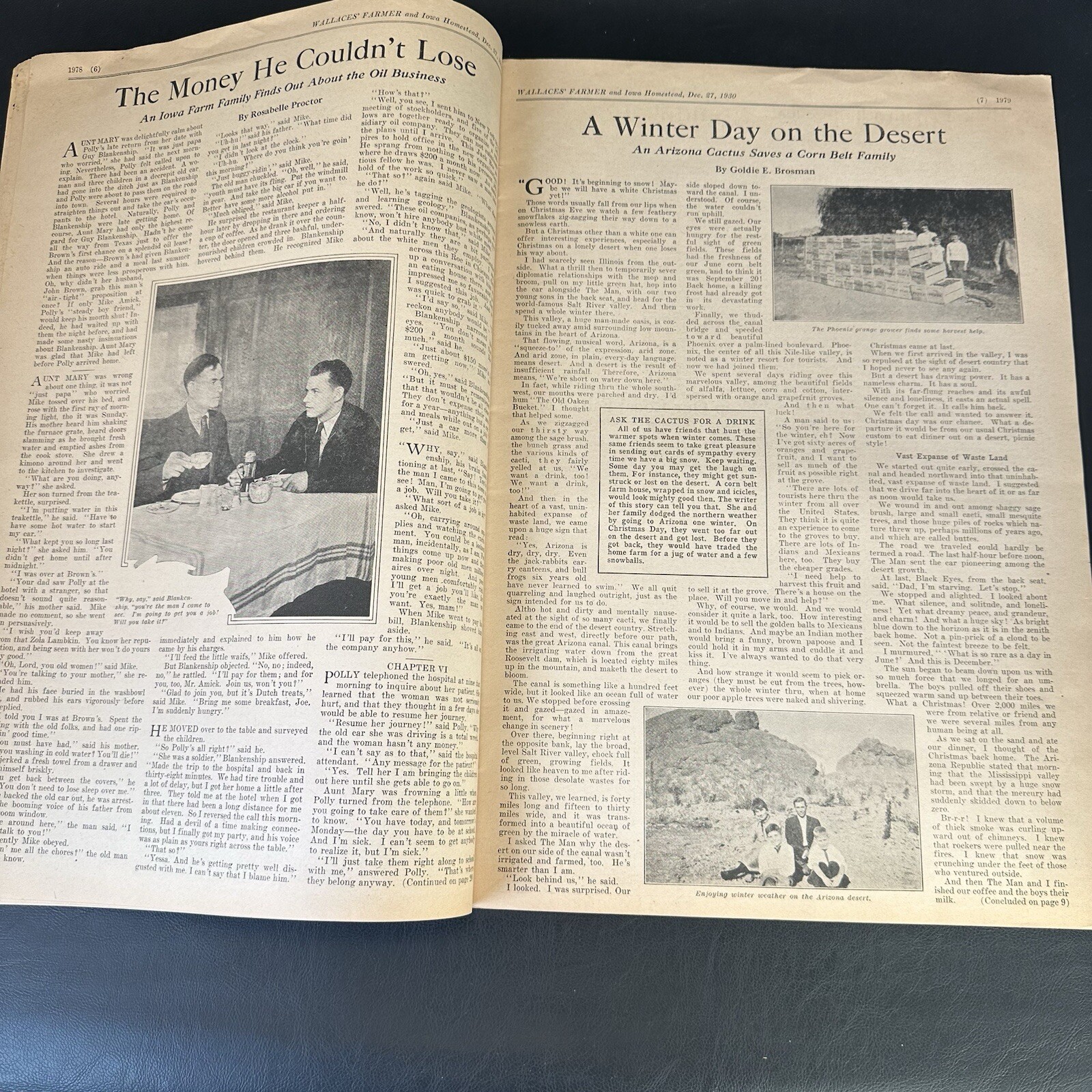 1930 WALLACES’ FARMER & IOWA HOMESTEAD Newspaper Magazine, Des Moines – Great!