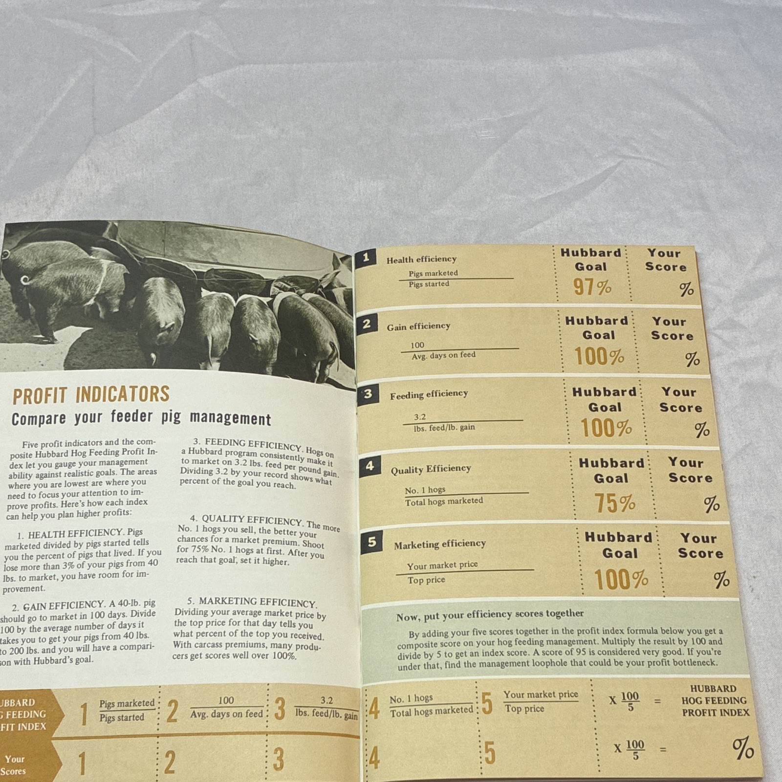 Hubbard Hog Profit Ideas Professional Pork System Original Advertising Brochure