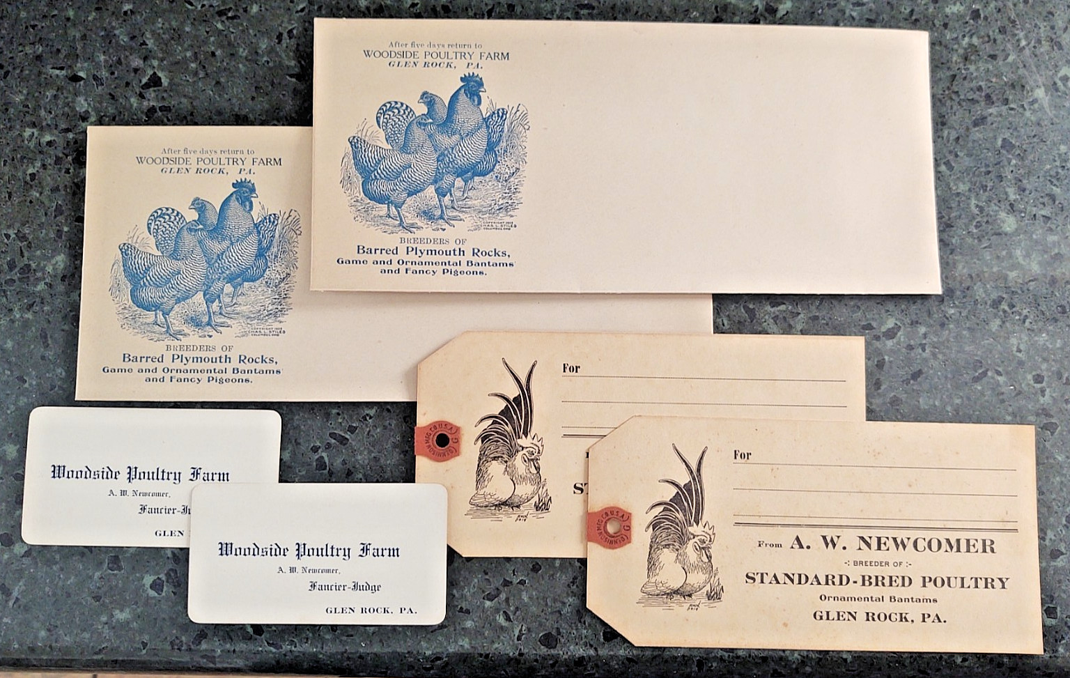 Glen Rock Pennsylvania ( 6 ) pc Lot Poultry farms Newcomb & Woodside late 1800s