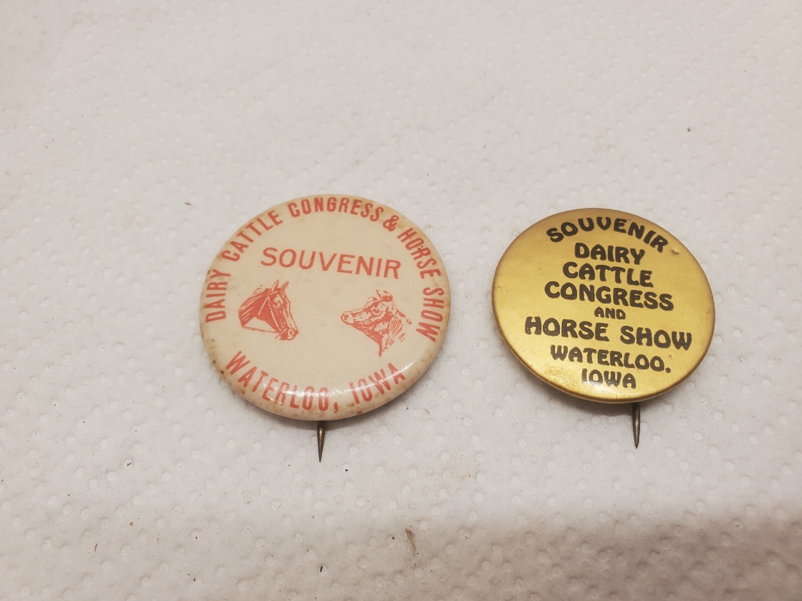 2 Metal Pinback Buttons Souvenir Dairy Cattle Congress Horse Show Waterloo Iowa
