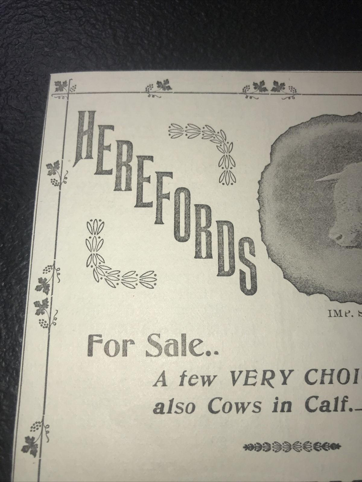1900 Murray Boocock Hereford Cow Farm Advertising – Keswick – Virginia