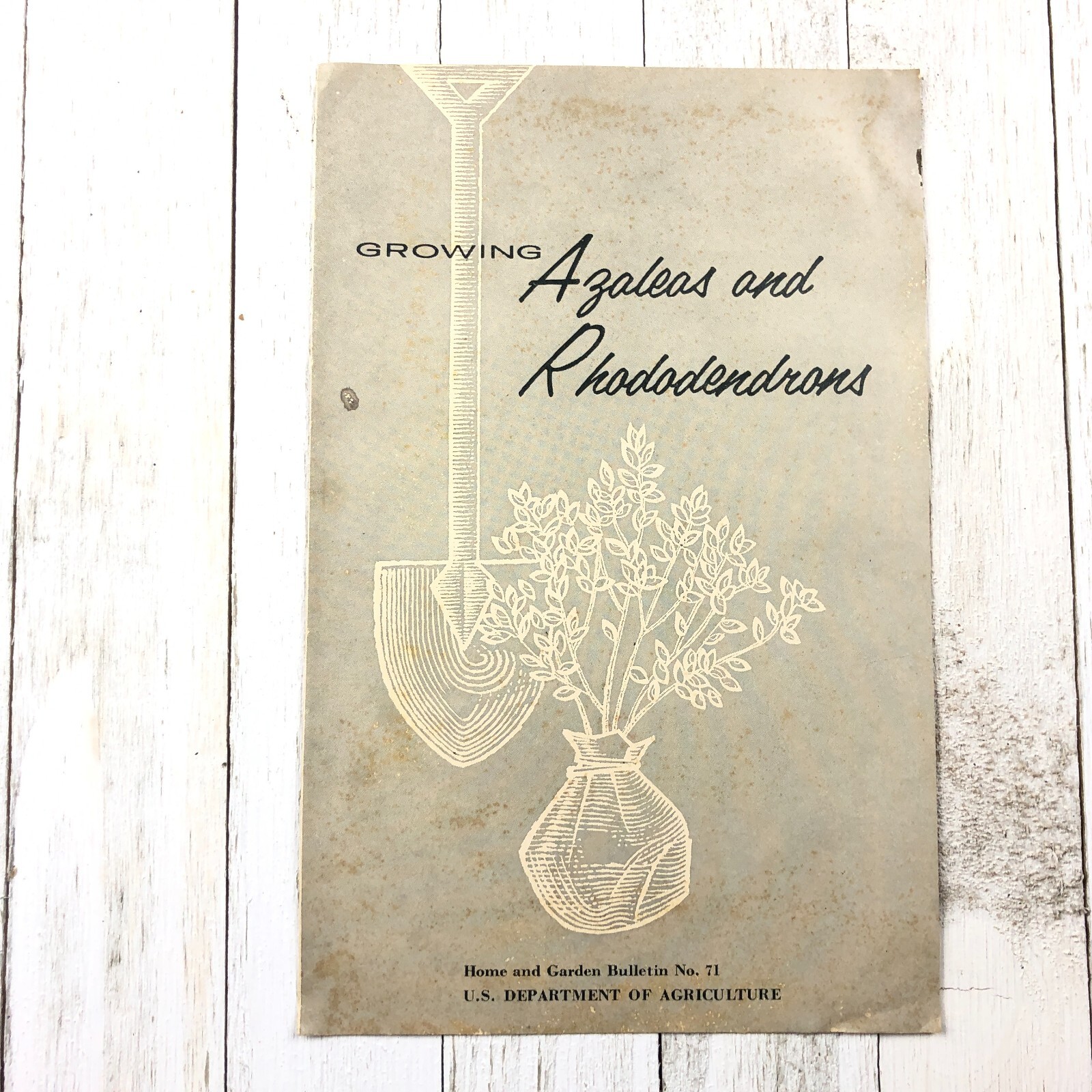Vintage U.S. Department Of Agriculture Growing Azaleas & Rhododendrons Pamphlet