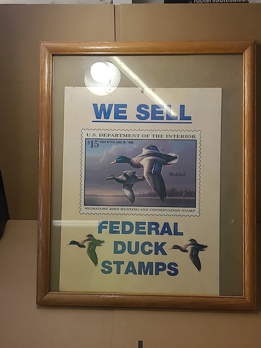 1996 Federal Duck Stamps Cardboard Store Sign Advertising