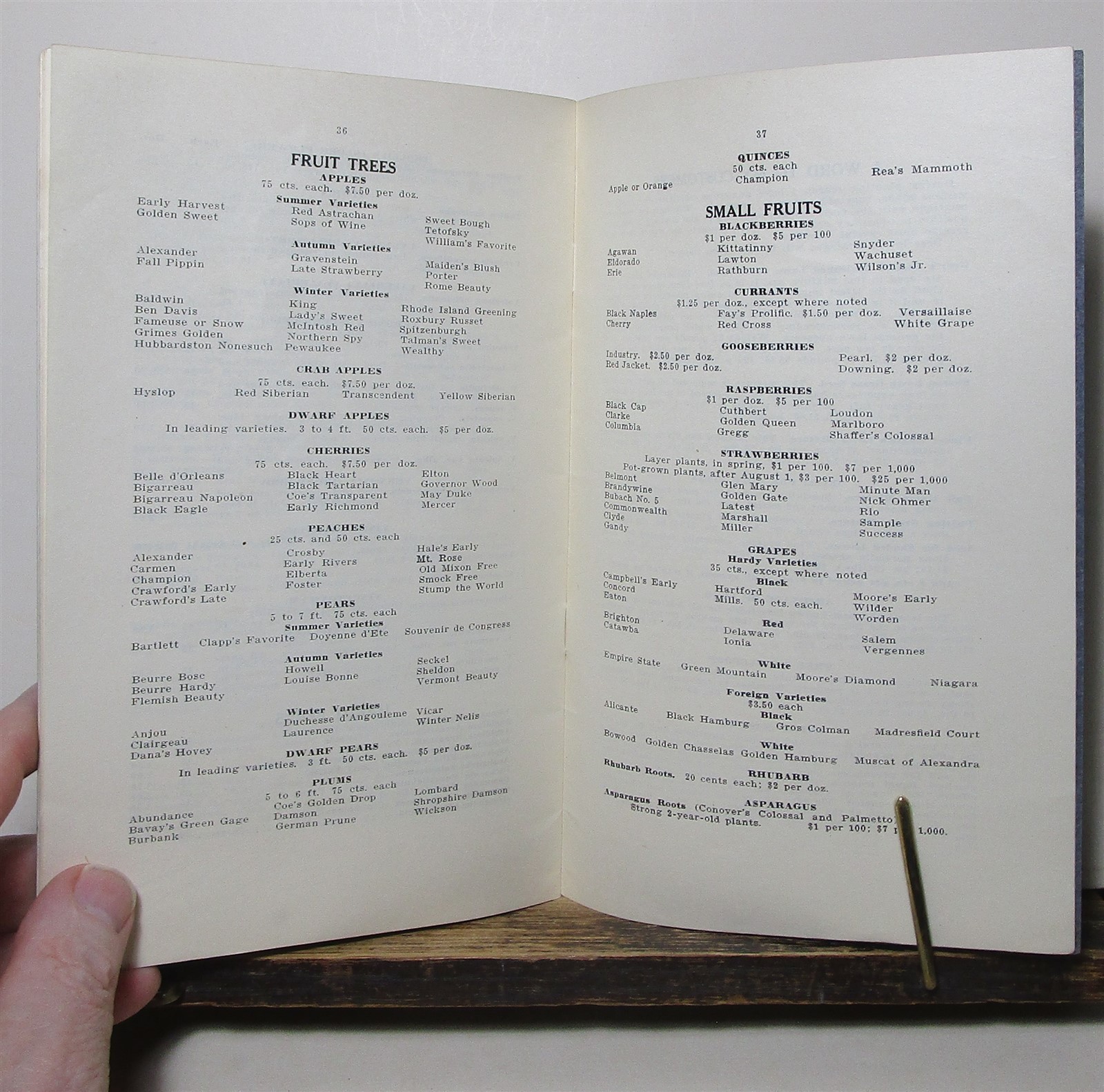 Henry Minot Pratt Concord Nurseries catalog, Massachusetts