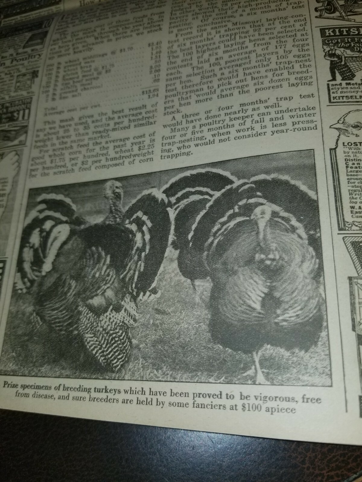 FARM and FIRESIDE The National Farm Paper 1917
