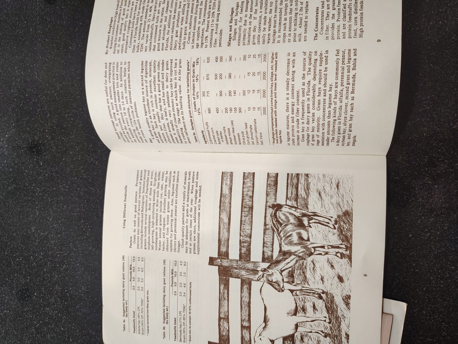 vintage Raising Goats fl brochures booklet 1980s farming Agriculture