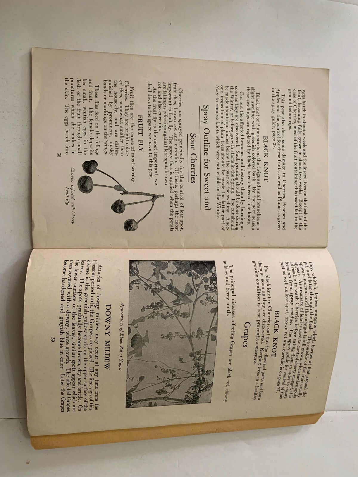 1937 Helpful Garden and Orchard Suggestions by J.M. Pitkin Booklet