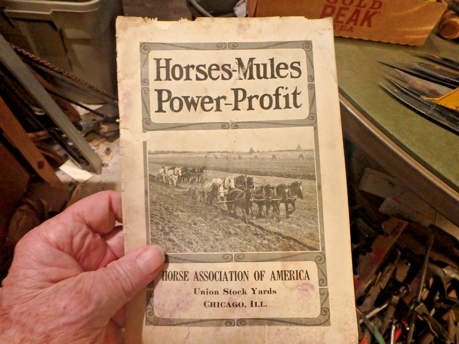 4L- 1928 edition Union Stok cards -HORSES-MULES, POWER-PROFIT -28 pages