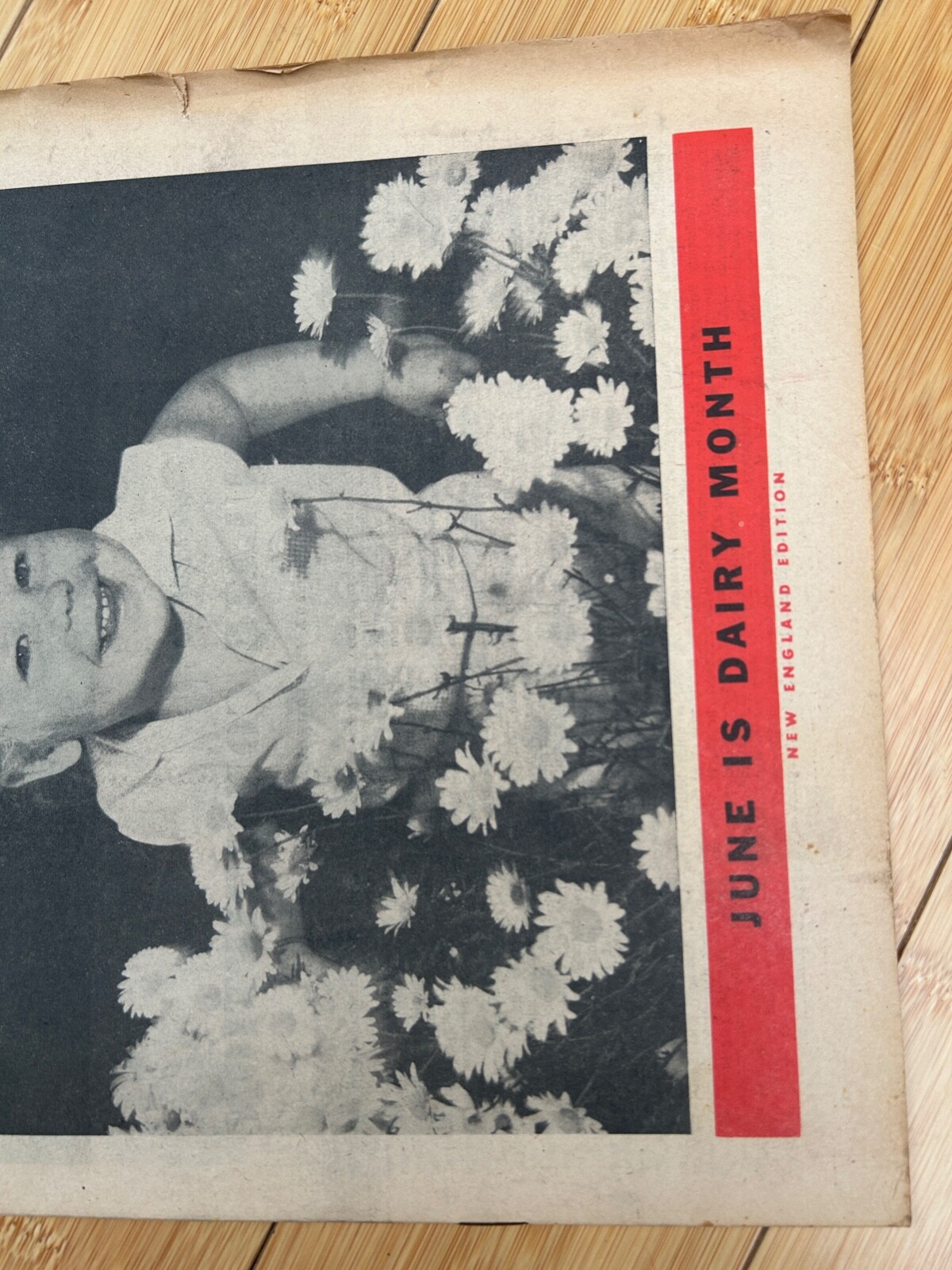JUNE 18 1960 AMERICAN AGRICULTURIST MAGAZINE THE FARM PAPER DAIRY MONTH
