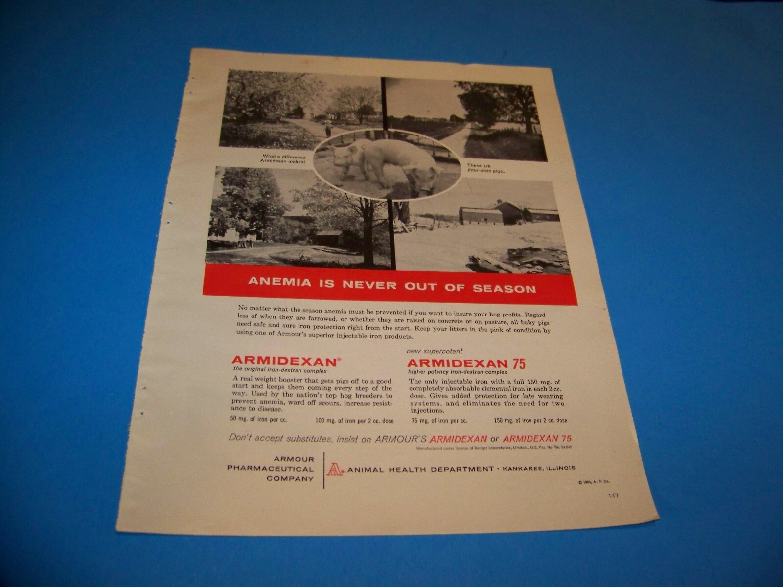 Armour Pharmaceutical Company Agricultural Print Ad from Magazine Vintage 1960