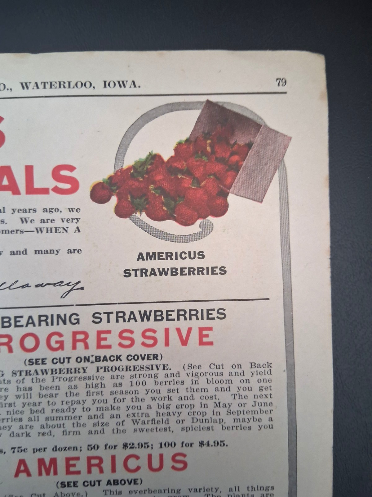 1915 Galloway Bros Iowa Catalog Farm Engines Cast Iron Stoves Clothes Color