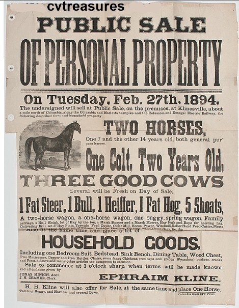 Antique Broadside Public Sale Broadside 19th Century Horses Farm, 1894