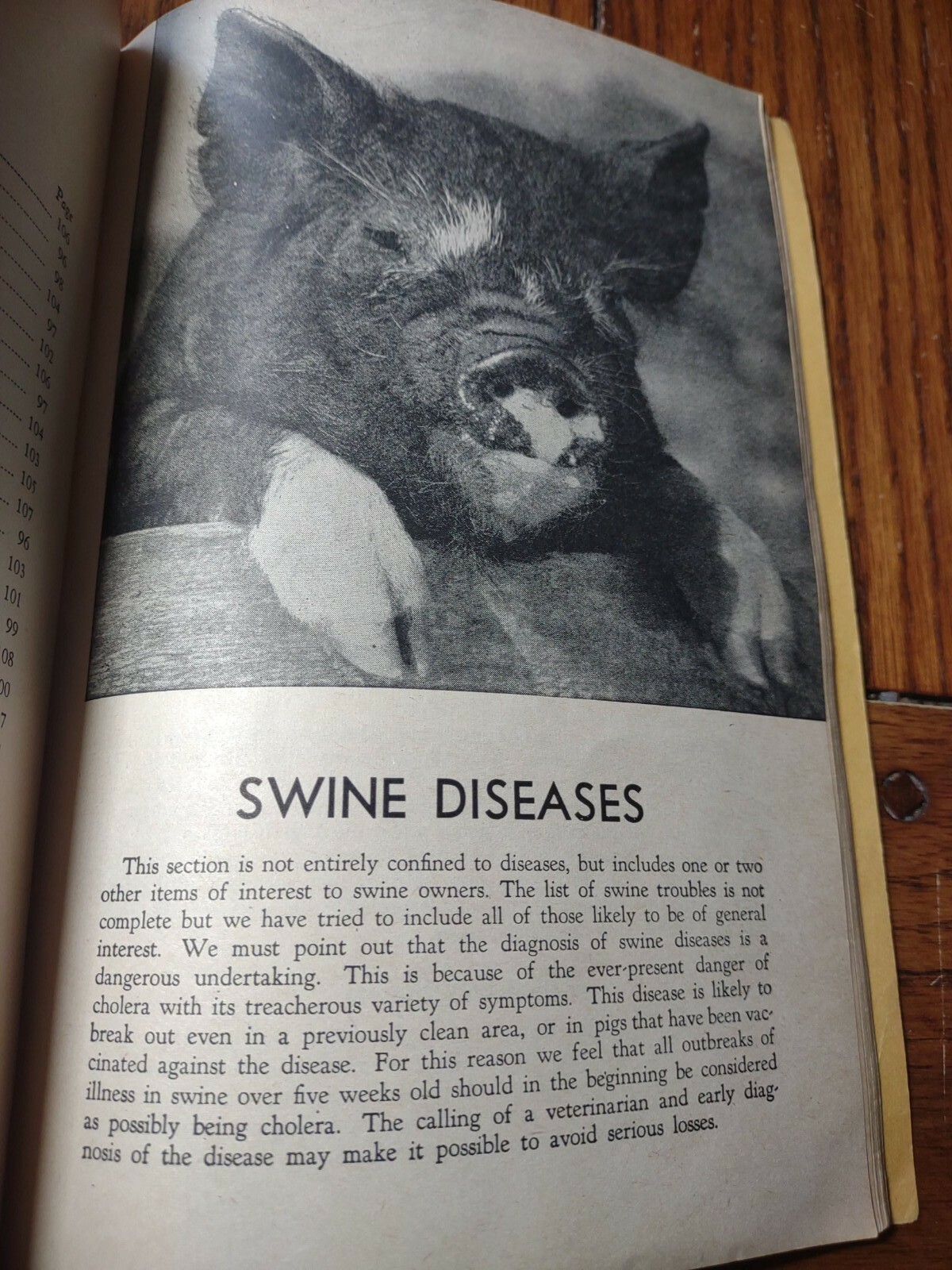 HOARDS DAIRYMAN FORT ATKINSON,WIS. COMMON AILMENTS OF FARM ANIMALS BOOK