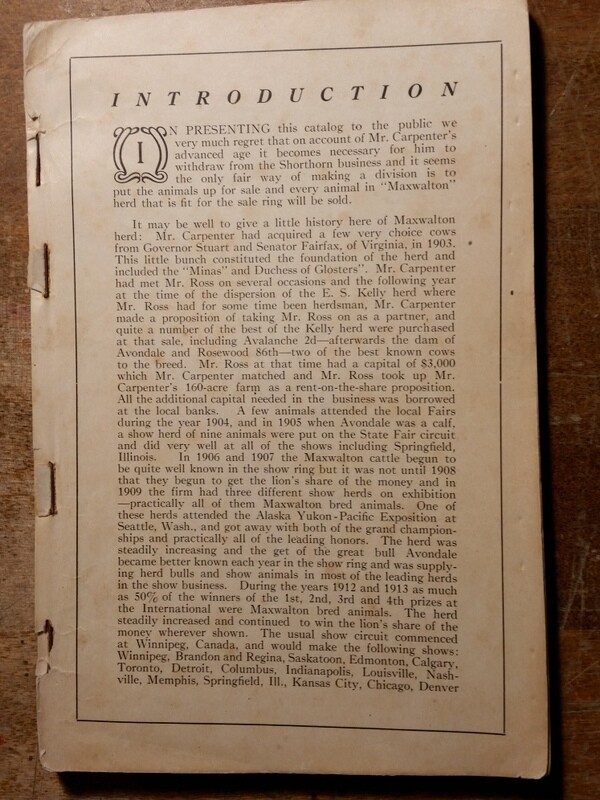c1923 Maxwalton Herd Carpenter and Ross Cattle Auction Mansfield Ohio OH