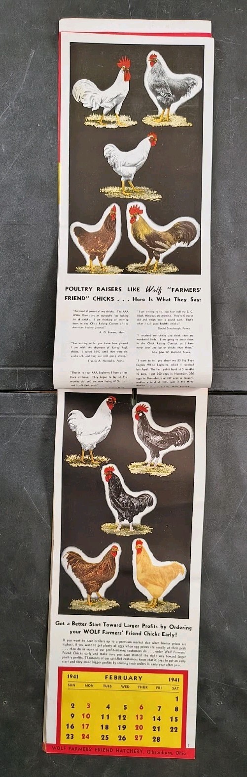 1941 Wolf Baby Chicks Catalog Calendar Sale Brochure Chicken Farming Advertising