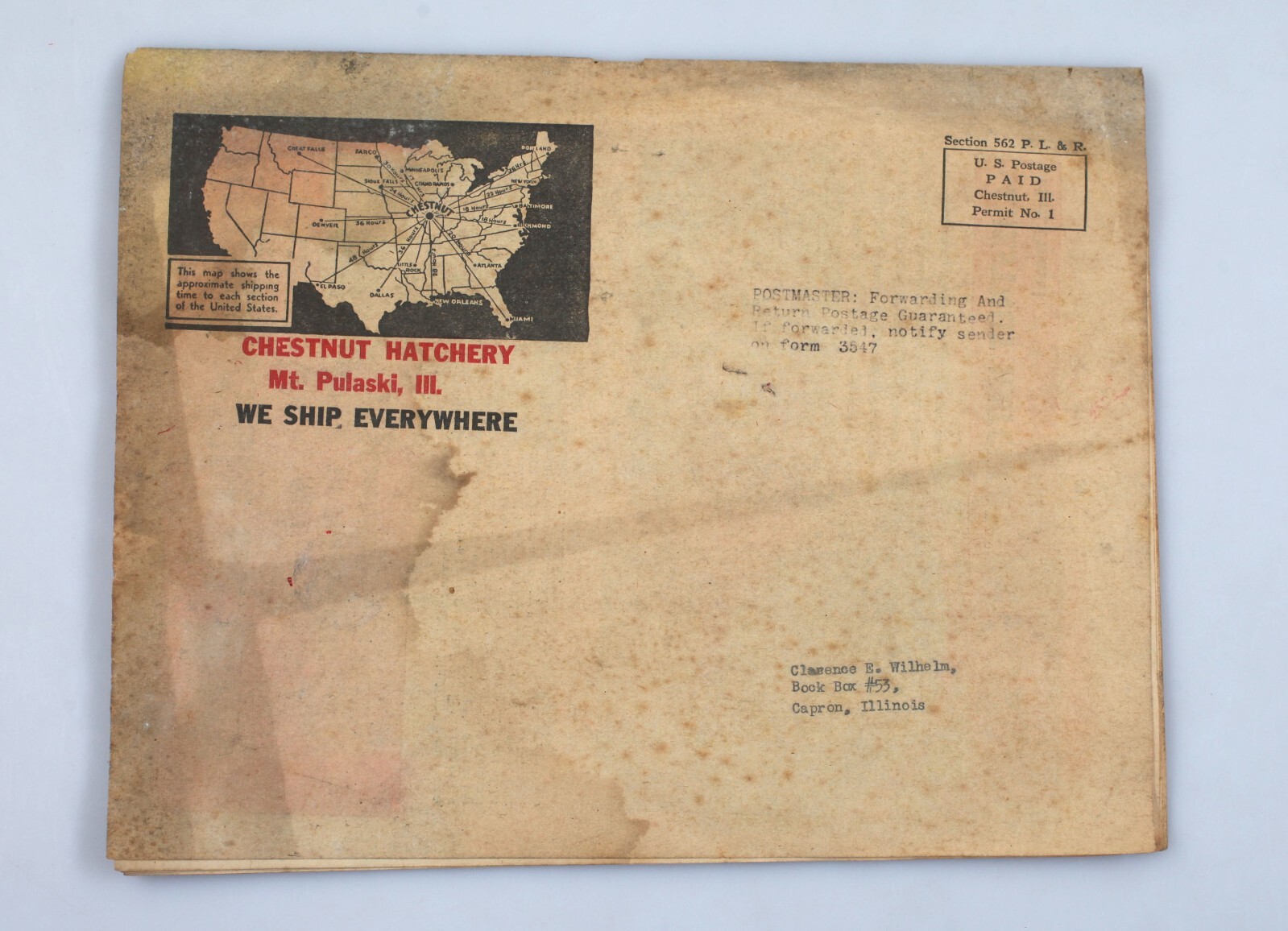 Vintage Newsprint Mailer Chestnut Hatchery Chicken Catalog Mt. Pulaski Illinois