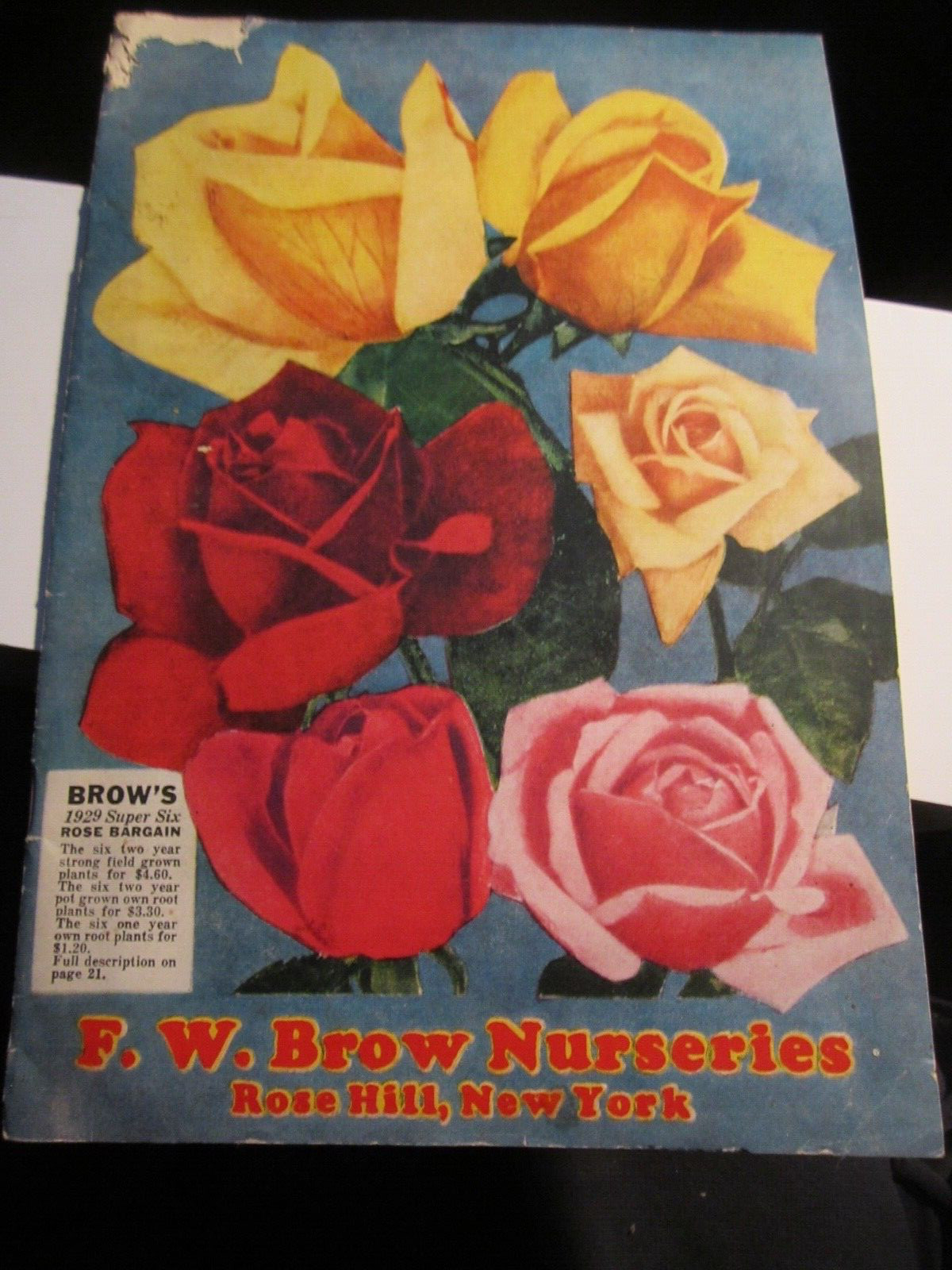 VINTAGE F. W. BROW NURSERIES FLOWER AND FRUIT CATALOG – BBA-45