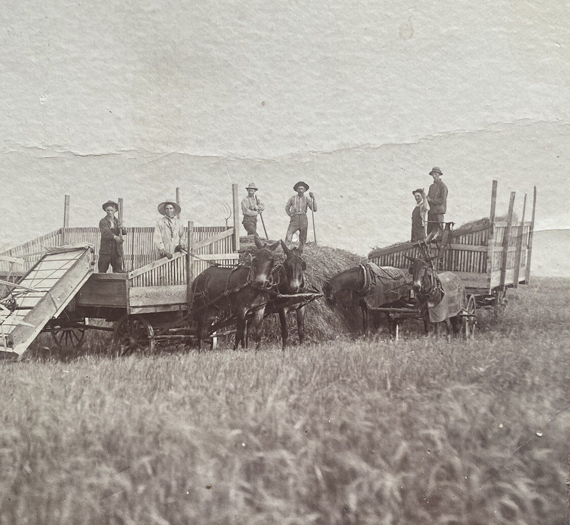 Vintage 5×7 Cabinet Photo ~Antique Farm Machinery, Agriculture Americana