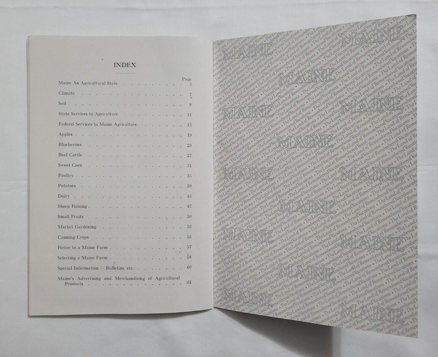 Vintage Maine Agriculture Booklet Cattle Corn Fruit Chickens Farming Ephemera