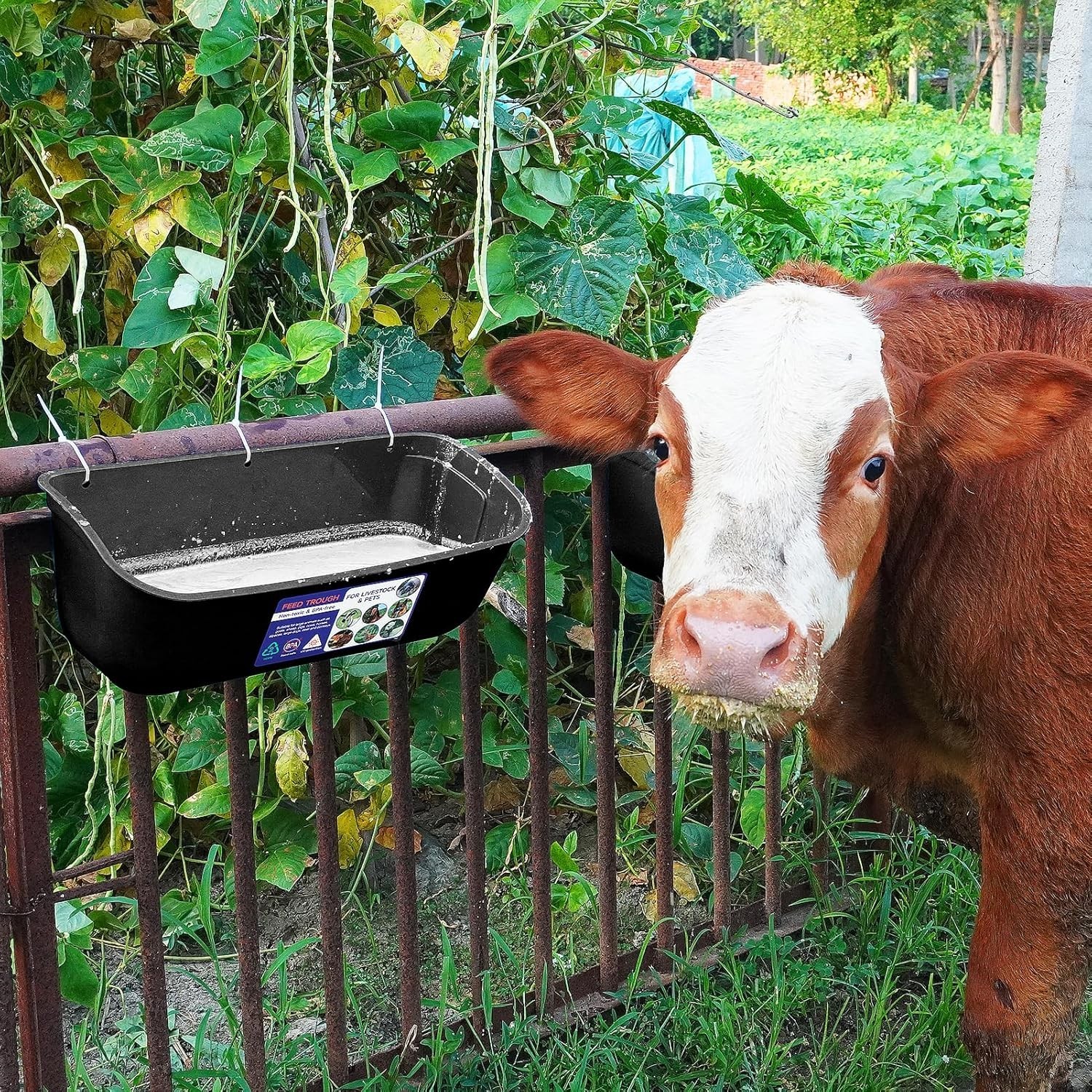 Efficient 9 Quart Feed Trough – No Waste Hanging Feeder for Large Animals