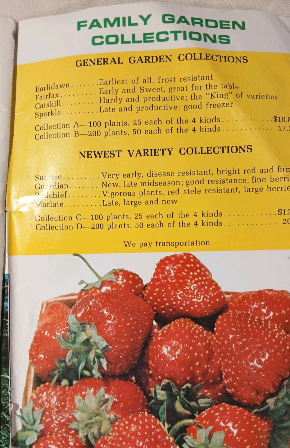 Rare Catalog Ephemera 1973 W.F. Allen Co. Book Of Berries. Anniversary Edition.