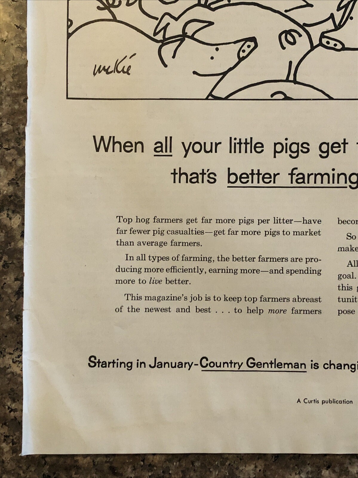 1954 Better Farming Magazine Promo PRINT AD Pigs Country Gentleman VTG 1950s