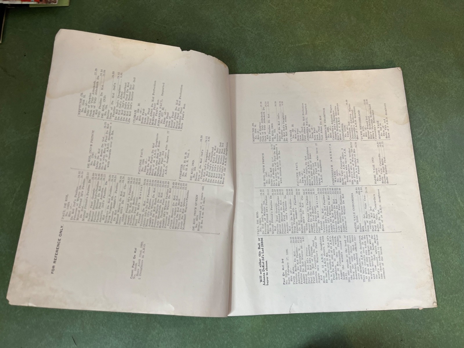 Original 1906 Holstein Friesian Cattle Auction Sales Catalog Pompton Plains NJ