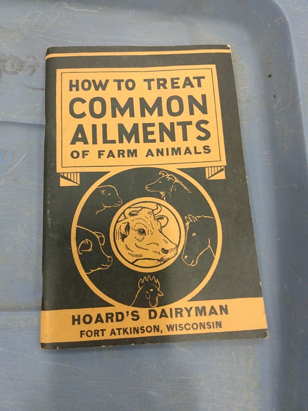 Vintage 1940 Hoard&rsquo;s Dairyman Booklet How To Treat Common Ailments Farm Animals